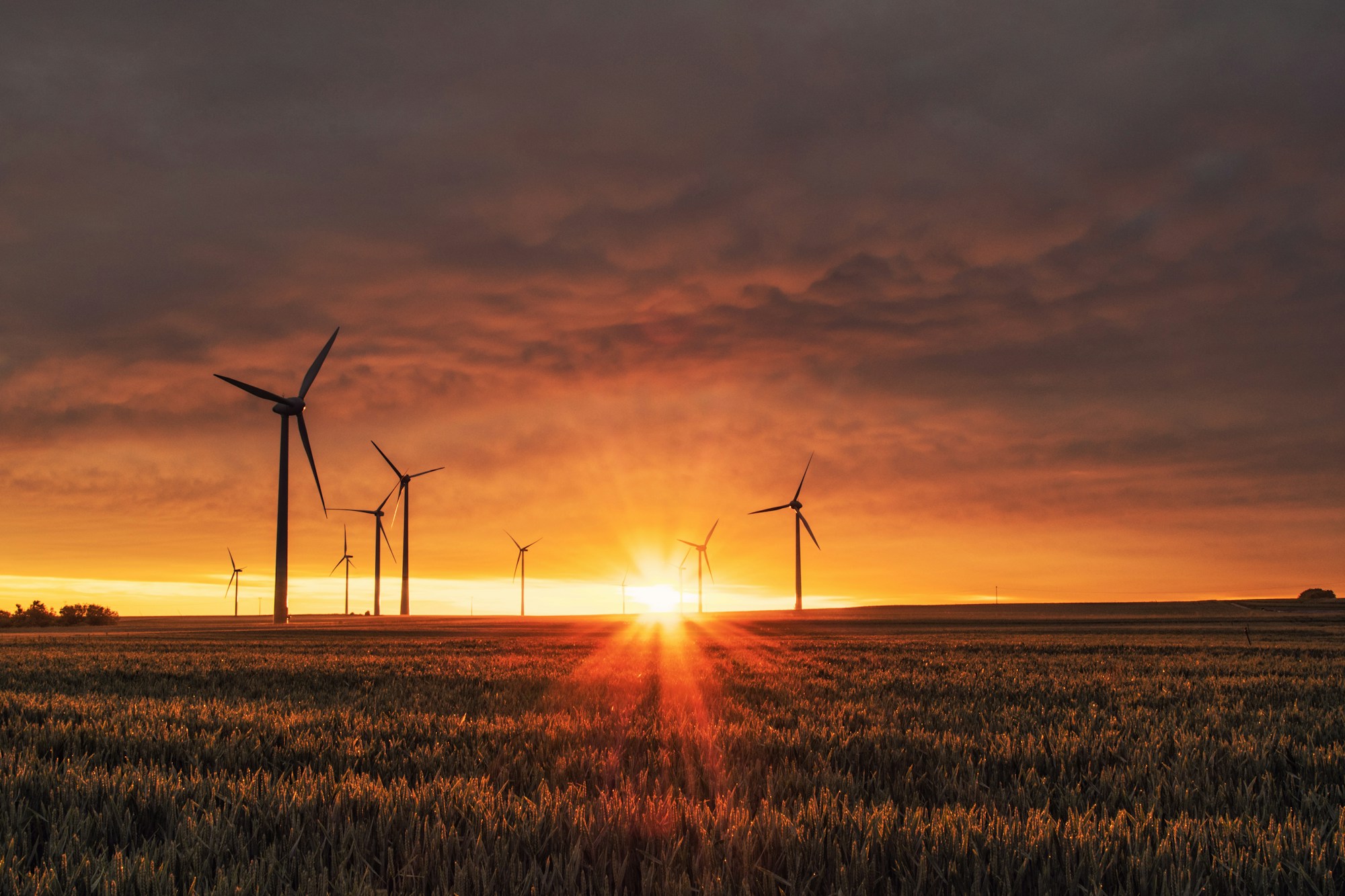ESG Sustainability